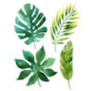 Meet your Posher, Aran